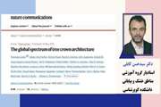 Participation of a Faculty Member of Semnan University in the Publication of a Prestigious International Article